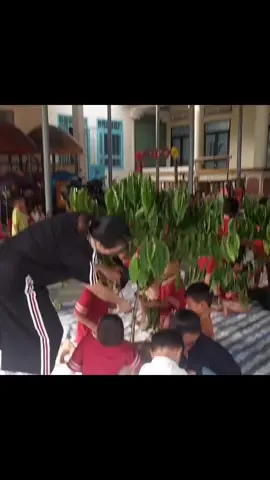 Đã bảo kinh nghiệm hái cafe từ nhỏ không ai tin. #caphe #nongdan #xuhuong 