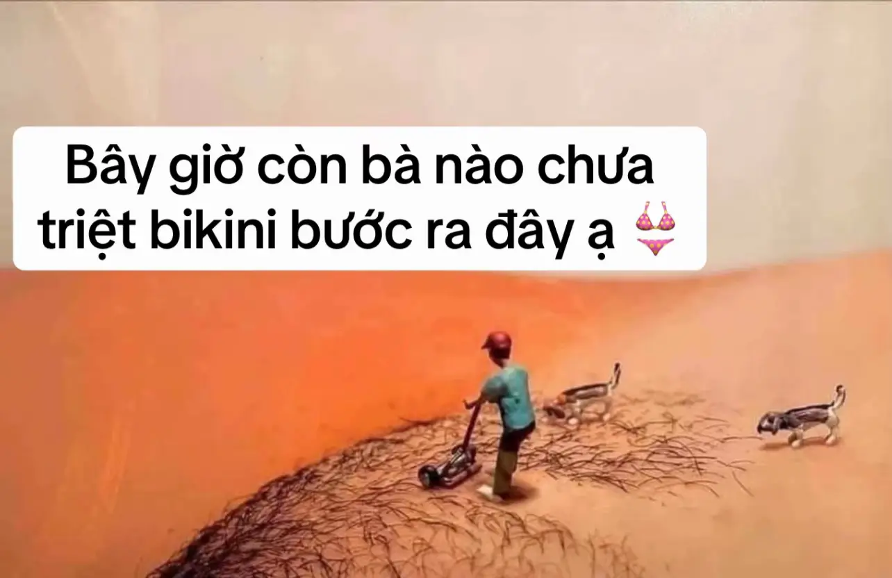 👙Triệt Bikini-Chị e triệt chưa? Em khuyên thật ce nào chưa triệt bikini nên triệt luôn đi nha. ➡️Triệt rồi là chỉ ước biết thế triệt sớm hơn thôi🥹 Chia sẻ thật lòng sau khi triệt Bikini ✅Da mịn như e bé,sạch sẽ, gọn gàng ✅Vệ sinh dễ dàng nhất là những ngày “đèn đỏ” ✅Lâu lắm mới mọc lại,có mọc cũng là lông tơ mảnh nhẹ nhàng ✅Quan trọng là cảm giác tự tin hơn hẳn 🏝️Đi biển Không còn lo lắng diện bikini thoải mái hơn bao giờ hết 💥Triệt máy công nghệ diode laser k đau  k rát ,an toàn, hiệu quả ❌❌Ce đừng lăn tăn nữa đến e triệt liền nha 🔥🔥Ưu đãi giá vô cùng tốt 1299k/1 liệu trình  💕💕💕💕💕  “ cảm ơn bạn đã chọn Phương Anh  Spa trong hàng ngàn lựa chọn  _____________________ Phương Anh BEAUTY SPA Điều trị mụn-Triệt lông lạnh-Gội đầu mscvg ☎️ : 0378718788 #PhươngAnhBEAUTYSPA #Spa_uy_tín #peel_da_khoa_học #triệtlônglạnh #điều_trị_mụn_