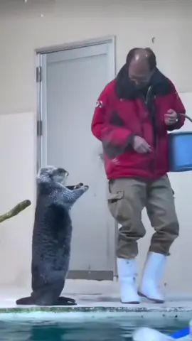 #tik_tok #tiktokindia #pubgtürkiye #keşfet #tiktak #tiktakdraw #tiktok #tiktokindi #tiktoknews #tik_tok #keşfet #pubgm @LOVE ™️ @LOVE ™️ @LOVE ™️ 