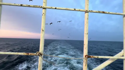 Người đi rồi gió vẫn thổi,chỉ có kí ức là không thể phai mờ..