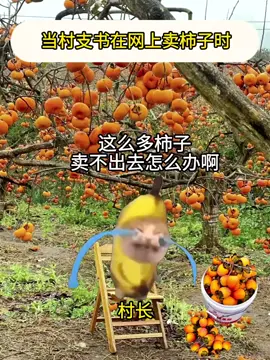 当村支书在网上卖柿子时 灵感来源：@蒙阴蜜桃村支书 @林小白在基层（带你游新昌） #助农 #内容过于真实 #村支书 #搞笑