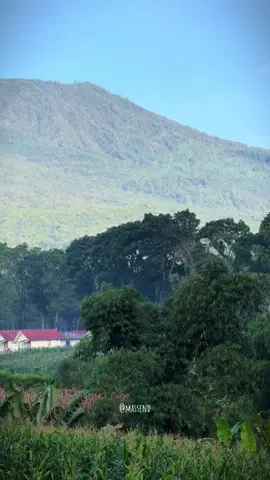 Candu banget di pagi hari #vibes #semeru #fyp #mahameru #lumajang 