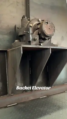 Bucket Elevator#BucketElevator