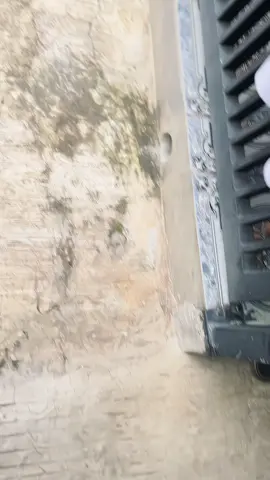 #beatdeluxemodifikasi #beatdeluxe #fyp #larensastyle #masukberanda 