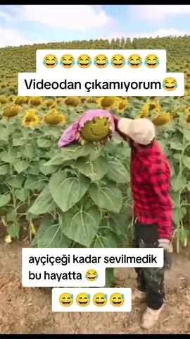 #keşfetteyizzz #etkileşim #😂😂😂 