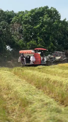 Đất cứng đề ba quá rồi 🤣📸 @Trung Tinh Do @Quốc Sang 🫶❤️😘 @Hân NoBi DC108x @luân 66 