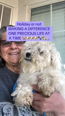 I can’t think of anything more rewarding than to save a life 🐕🐶🐶🐶🐾🙏🏼HAPPY THANKSGIVING 11-27-25#foryoupage #doglover #rescueanimals #adoptdontshop #savealife 