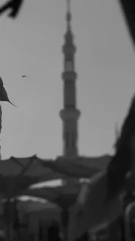 #CapCut #صلوا_على_رسول_الله #القران_الكريم_راحه_نفسية😍🕋 #الجنه #foryoupage 