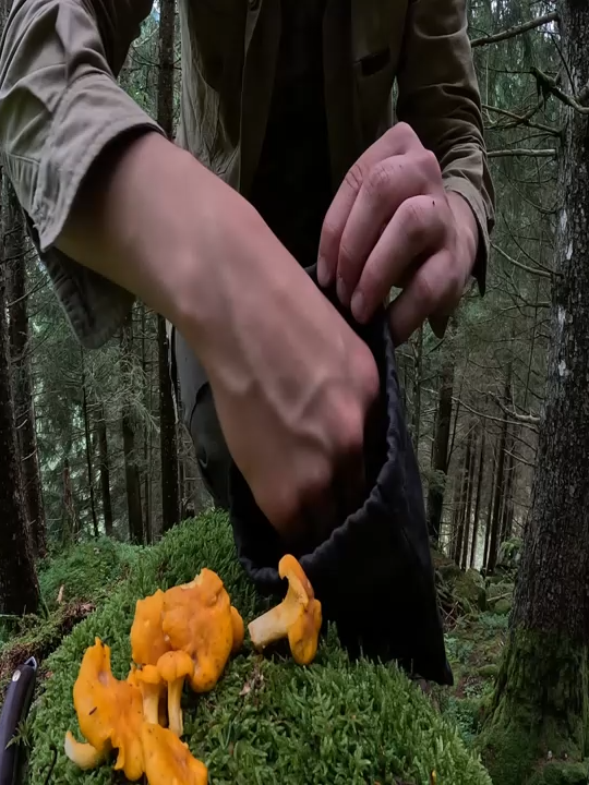 0002- 24 HOURS (No Food, No Water, No Shelter) solo SURVIVAL CHALLENGE!24 HOURS (No Food, No Water, No Shelter) solo SURVIVAL CHALLENGE! Part 2