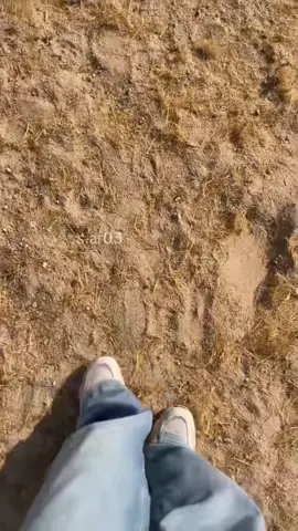 قفلنا الترند #ماشاءالله #هاشتاق #نياق #اكسبلورexplore #fyp 