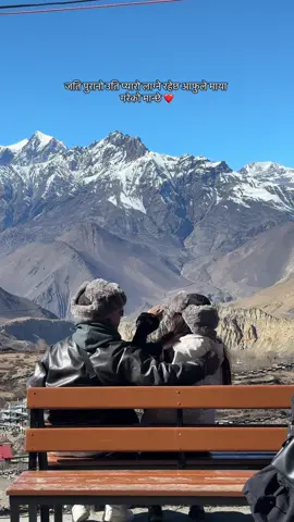 #mustangs #❤️#kaji #simaramuser 