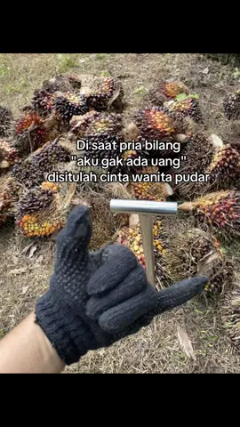 🤙🏻🤙🏻 #perintismuda #anakpetanisawit #kulisawit #pemanensawit #sawitbalap 