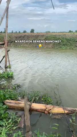 🎣#pemancingabiezzz #antiboncos #inpospot #xybca 