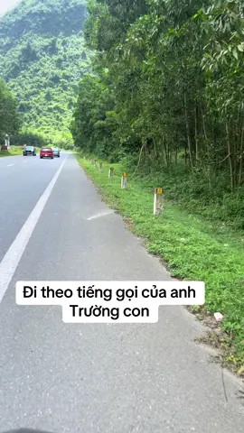 #trươngconnamdinh #xuhuong #tiktok #backan #dạophố 