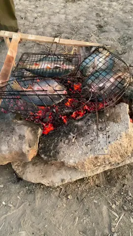 #كشته_طلعه_بر #شعب_الصيني_ماله_حل😂😂 #المثنى_السماوه #طششونيي🔫🥺😹💞احبكمممممم🥺💞 #ตามจังหวะ 