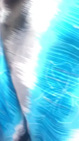 #محاميد_يا_كبدي❤️ #محاميد_حول_العالم💪💪 #CapCut #ترثنا_فخرنا #الشعب_الصيني_ماله_حل😂😂😂 