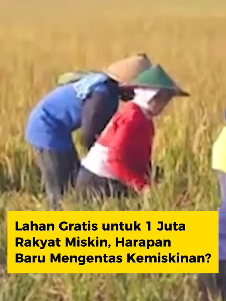 Lahan Gratis Untuk 1 Juta Rakyat Miskin, Harapan Baru Menentas Kemiskinan? . . #pemerintah #indonesia🇮🇩 #beritaviral #programpemerintah #prabowo #miskin #petaniindonesia🇮🇩🇮🇩🇮🇩🌿🌿 #fypシ゚ #fypage #fyppppppppppppppppppppppp
