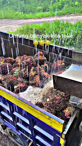 #CapCut  bonus air 😂😂😂 #fyppppppppppppppppppppppp #kulisawit🌴 