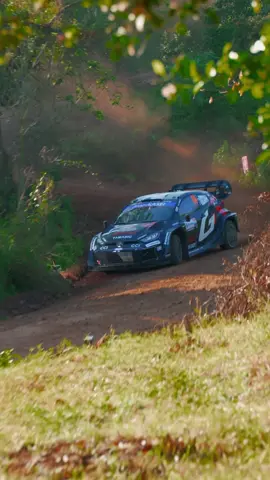 2025 WRC Rd.10 RALLY DEL PARAGUAY #toyotagazooracing #toyota #wrc 
