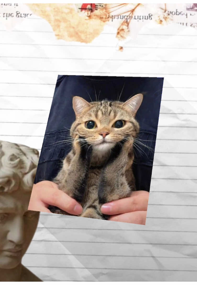 Vì Đã Lỡ Yêu Em Rùii // #xuhuong #viral #edit #alightmotion #daaju 