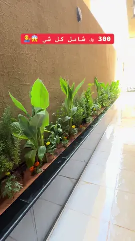 #احوض_جرانيت_ورخام #جلسات #احوض_زراعه #تنسيق_حدائق_الرياض #تنسيق_حدائق 