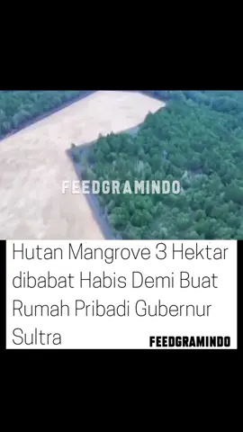 Beredar di media sosial, Gubernur Sulawesi tenggara @andisumangerukka87 diduga membabat 3 hektare hutan mangrove. Area itu disebut-sebut hendak dijadikan lokasi untuk pembangunan hunian pribadinya. Dinas Lingkungan Hidup dan Kehutanan (DLHK) Kendari buka suara terkait isu ini. Dilansir detikSulsel, lokasi hutan mangrove yang dimaksud itu diduga berada di Jalan Malaka, Kelurahan Kambu, Kecamatan Kambu, Kota Kendari. Dalam unggahan sosial media yang viral, dugaan pembabatan itu itu terlihat lewat gambar via udara. Selain itu, berdasarkan foto yang diterima detikSulsel, terlihat lahan timbunan berwarna kuning yang dikelilingi hutan mangrove yang hijau. Dalam keterangan DLHK Kendari menyebut bahwa lahan itu diperuntukkan untuk membangun rumah Gubernur Sultra. Kepala DLHK Kendari Erlis Sadya Kencana memberi penjelasan. Menurutnya, seluruh proses yang berlangsung di lokasi tersebut merujuk pada aturan tata ruang yang berlaku di Kendari. Erlis menjelaskan bahwa pembukaan lahan tersebut berpijak pada Peraturan Wali Kota (Perwali) Nomor 21 Tahun 2021 tentang Rencana Detail Tata Ruang (RDTR) dan pengembangan kawasan Central Business District (CBD). 