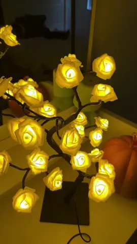 #rose #roses #preservedflowers #lamp#flowers