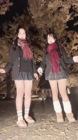 #冬旅応援キャンペーン #西浜jk #昭和記念公園 #いちょう #fypシ 