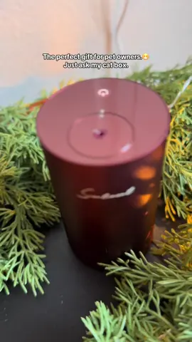 Pet odors, litter box smells, musty rooms—this diffuser clears it fast. Perfect gift for any pet owner. #oildiffuser #petodorremover #petowner #homescents #trendinggiftideas 