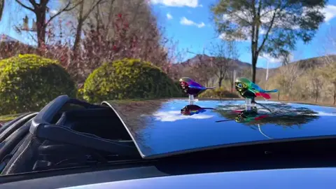 Just a girl and her bird, exploring the world together. #BestFriends #fyp #ph #tiktok2025 #SynchronizedFlyingBirds