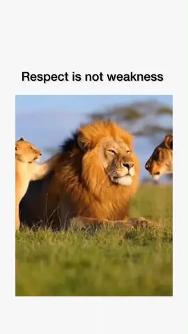 Deep truth on psychology and life  #psychology #life #fyp #foryourpageofficial 