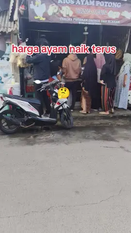 harga ayam naik terus pusing jualnya.... gimana di tempat kalian..  #ayampotong #pedagangayampotong 