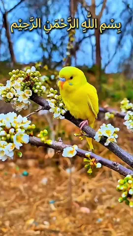 #Allah #quran #motivation #muslim #foryoufypシ゚viral☆♡💯fyp 