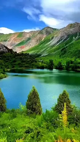 ﴿تَبَارَكَ الَّذِي جَعَلَ فِي السَّمَاءِ بُرُوجًا وَجَعَلَ فِيهَا سِرَاجًا وَقَمَرًا مُنِيرًا﴾ من سورة الفرقان. #قران #تلاوه #قران_كريم #اكسبلور #اللهم_صلي_على_نبينا_محمد #راحة_نفسية #سبحان_الله_وبحمده_سبحان_الله_العظيم #تلاوة_خاشعة 