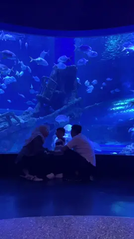 Selamat ulang tahun cintaku hidupku 🫶🏻 Muhammad Arzan Arrasya Kalief ✨ #birthday #fyp #bxsea 