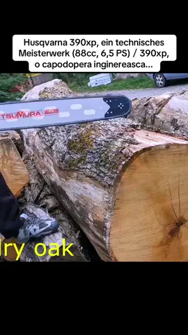 Husqvarna 390xp, ein technisches Meisterwerk (88cc, 6,5 PS)／390xp, o capodopera inginereasca...