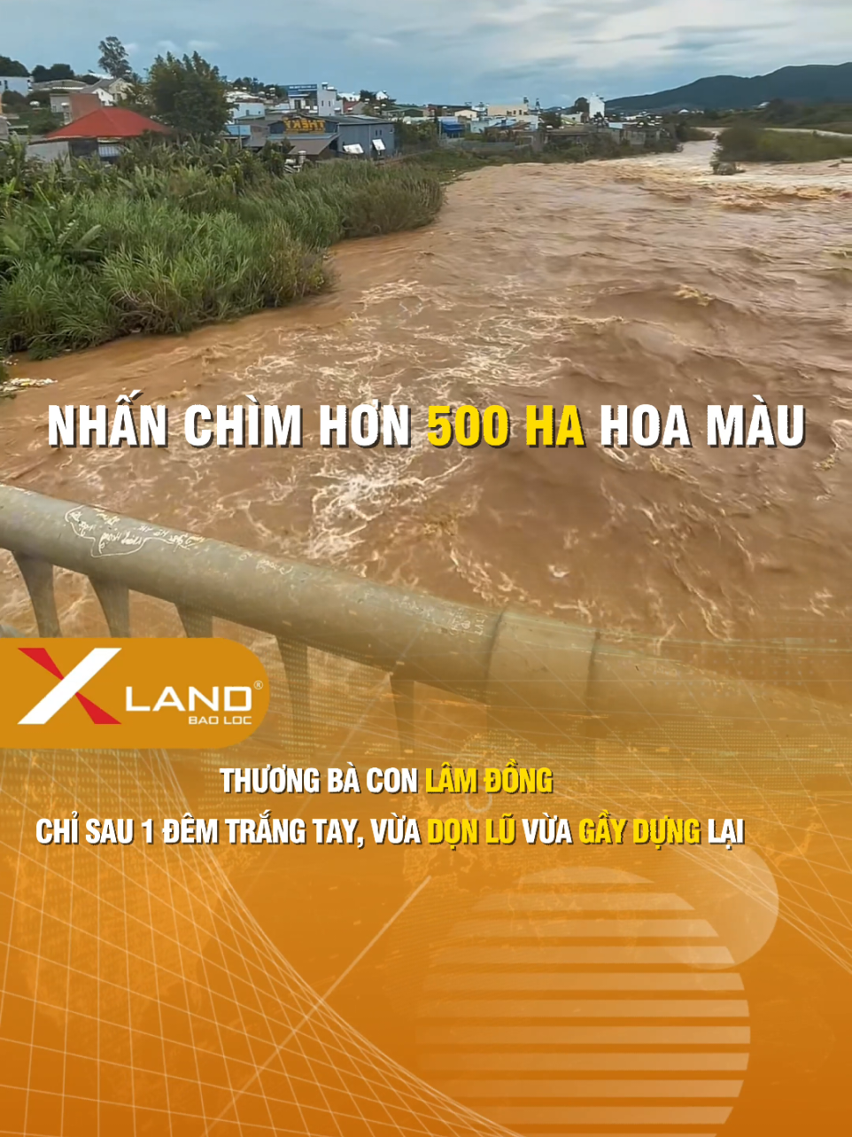 Thương Lâm Đồng, chỉ sau 1 đêm trắng tay, vừa dọn lũ vừa gầy dựng lại... #xland #lamdong #xuhuong #tintuc #lu 