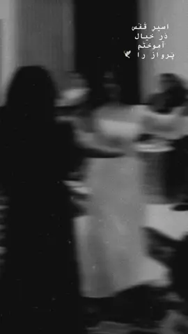 دخترک های غرمی  Not my video, found it on Pinterest #art#dance#fyp#afghandance#afghanistan