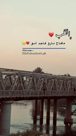 الله الله يالشبالي💔😢#الموصل #الجسر_الايطالي #تصويري_احترافي_الاجواء👌🏻🕊😴 