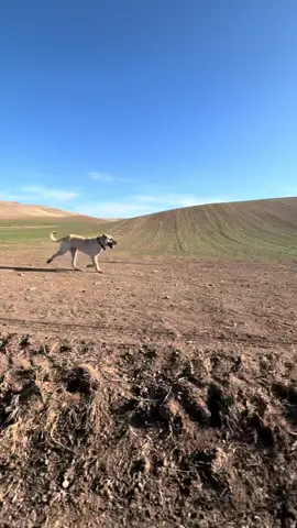 #beniöneçıkart #keşfetteyizzz #beniöneçıkart 