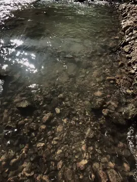 “镜中花一生摘不完，水中花轻轻一碰，很快就散了.Hoa trong gương cả đời không thể hái, hoa dưới nước vừa chạm nhẹ đã vội loang#xuhuongtiktok #buon249 #viral 