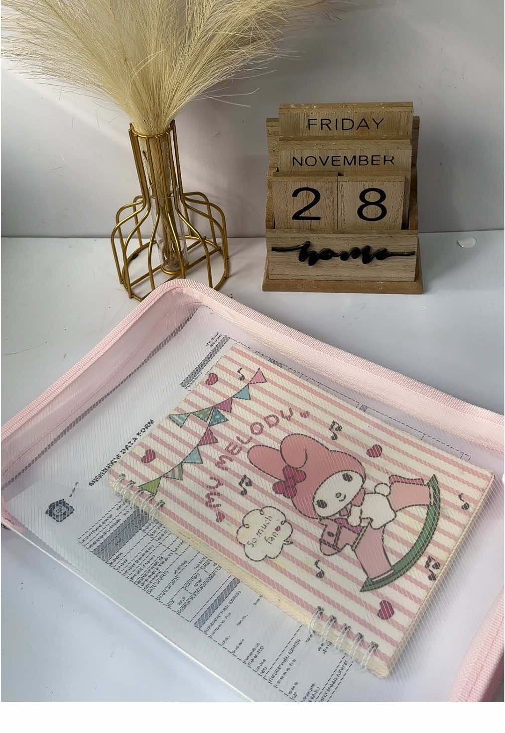 A4size File Storage Organizer Pouch #fileorganizer #documentsorganizer #a4fileorganizer #organizer #filezipperorganizer 