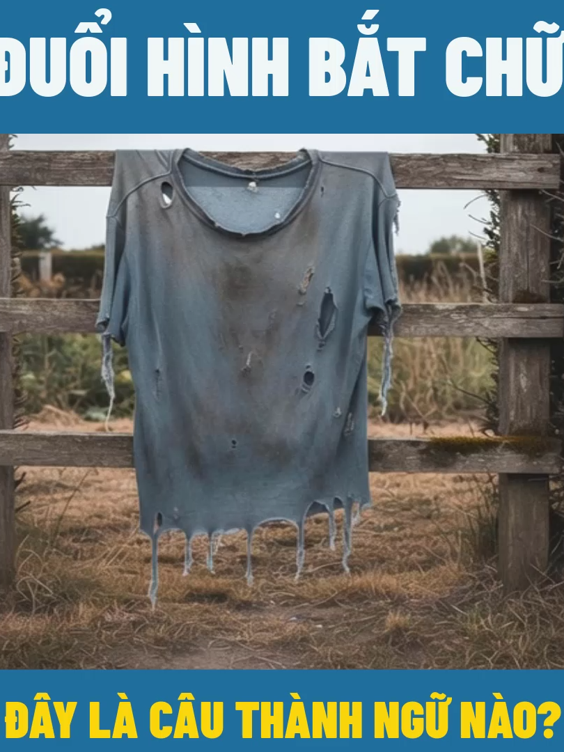 Đuổi hình bắt chữ, đây là câu thành ngữ nào?, #havuthanh #shorts #dovui #vuatiengviet #duoihinhbatchu #xuhuong #trending #xuhuongtiktokk #xuhuongtiktok #dog