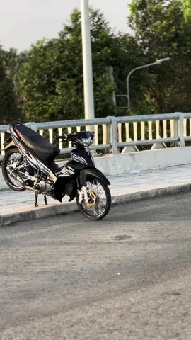 😉 #xh #sirius #siriusđộkiểng 