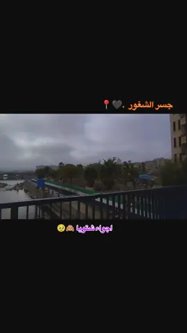 قيمو تصور 📍🖤 #تصوري_احترافي_رايكم_💛💛 #جسر_الشغور❤️🌿🌴 #اجواء_شتويه_☔  #وهيكاااااا🙂🌸 