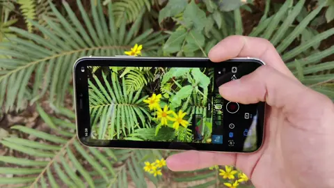 iPhone 11 #iphone #apple #camera #blackmagiccamera #fyp 