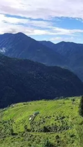 #롤린그린스크린 #foreyoupage👍💞 #fypシ゚viral😘😘😘 #fypシ 