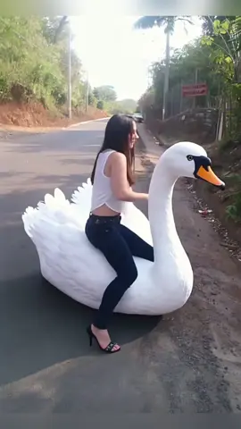 #capcut #capcutpioneer #capcutforus  A free tutorial on swan flight, covering swan flight techniques and AI special effects Un tutorial gratuito sobre el vuelo de cisne, que incluye contenido sobre el vuelo de cisne mismo, materiales de tutorial gratuito adicional y guías de efectos especiales de IA. Безкоштовний навчальний посібник з польоту лебеді, який включає в себе матеріали про політ лебеді, додаткові безкоштовні навчальні матеріали та посібники з ефектів штучного інтелекту. Tutorial terbebas mengenai penerbangan angsa, yang mencakup materi tentang penerbangan angsa itu sendiri, tutorial tambahan yang gratis, serta panduan efek kecerdasan buatan. คอร์สเรียนบินของหงส์ฟรี ซึ่งรวมถึงเนื้อหาเกี่ยวกับการบินของหงส์ การเรียนฟรีเพิ่มเติม และคู่มือเอฟเฟกต์ปัญญาประดิษฐ์ دورة تعليمية مجانية حول طيران الأوراق السعفاء، والتي تشمل محتوى حول طيران الأوراق السعفاء نفسها، دروسًا تعليمية مجانية إضافية، ومقالات دليلية عن تأثيرات الذكاء الاصطناعي.