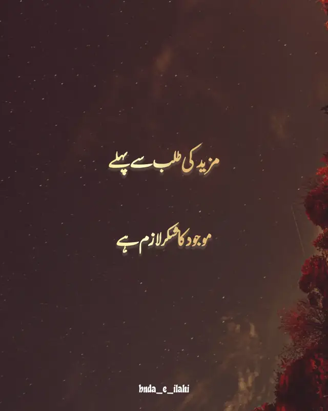 ہر حال میں اللہ کا شکر ادا کرو #Allahuakbar #islamipaigham #islamicquotesinurdu #dontunderreviewmyvideos #fyp 