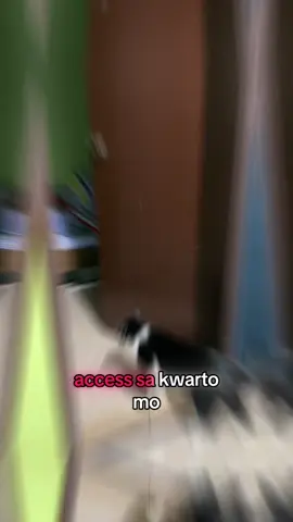 Foldable Sliding Screen Door na pet friendly lalo na sa mga may alagang pets na ayaw mong kulitin ka kapag nagpapahinga ka.!!😊 #foldableslidingdoor #slidingscreendoor 